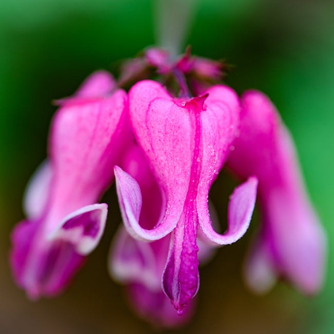 Comprehensive product inventory catalog