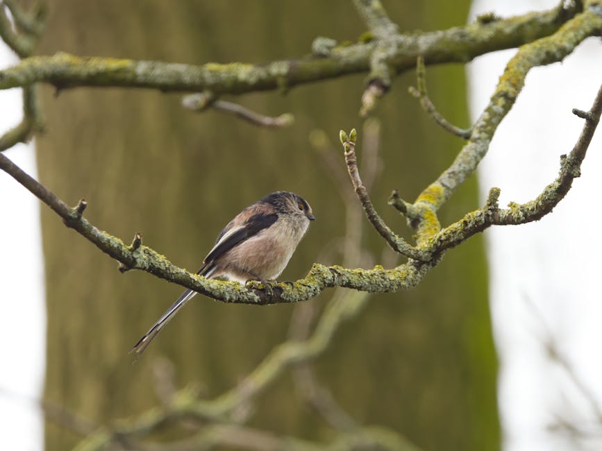 Latest tech and fashion arrivals for the current season